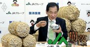 【独自】JA全中がシステム開発失敗で200億円の損失！農協に負担要求で非難囂々…役員辞任、組織の改廃は必至《再配信》