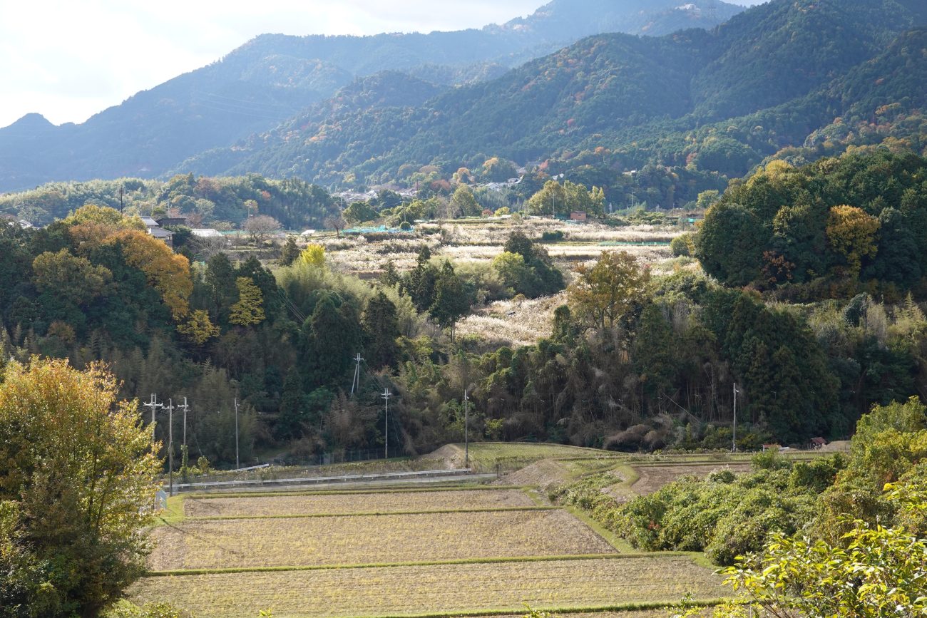 【老後】いらない土地を放棄する「意外な方法」とは?