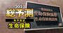 生保業界が23年に対峙する「新たな強敵」とは？業績急回復も、商品開発競争の激化は必至