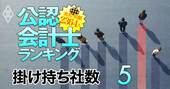 公認会計士の監査担当企業「掛け持ち社数」ランキング【トップ15人】太陽は働き者ぞろい？